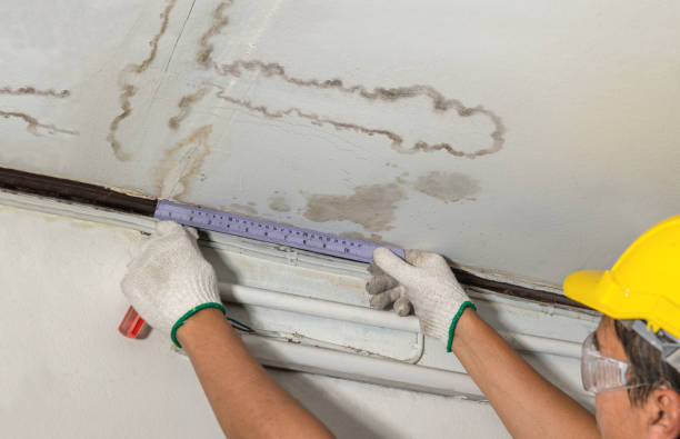 Reliable Burst Pipe Cleanup contractor in Danvers, IL by Water Damage Irwin